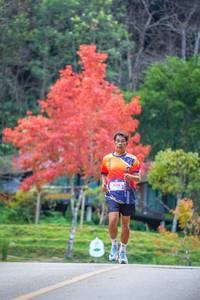 BIB: 4214
                            <button type="button" onclick="openModal(19239200)" class="btn btn-primary btn-sm float-right btn-popup" data-toggle="modal" data-target=".modal-high-quality">
                        <i class="fas fa-shopping-cart"></i> Add to Cart
                    </button>
                                            <button type="button" onclick="isThisMe(19239200, true)" class="btn btn-success btn-sm float-right btn-popup btn-isme hidden" data-toggle="tooltip" data-placement="bottom" title="นี่คือรูปของคุณใช่ไหม คลิกที่นี่เพื่อเอาเข้าอัลบั้ม">
                        <i class="fas fa-plus"></i> Add to album
                    </button>
                    <button type="button" onclick="isThisMe(19239200, false)" class="btn btn-warning btn-sm float-right btn-popup btn-isnotme hidden">
                        <i class="fas fa-ban"></i> Remove from album
                    </button>